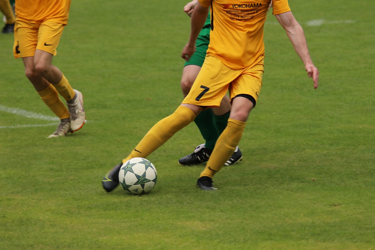 但主场作战 但主场作战